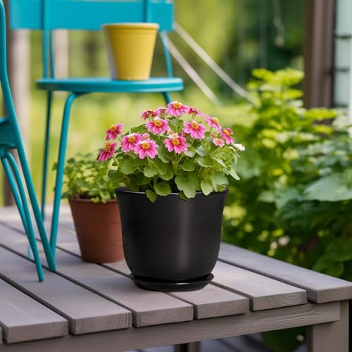 Ceramic Planter, 5.6 Inch Plant Pot, Black - color: Black, size: 6 Inch