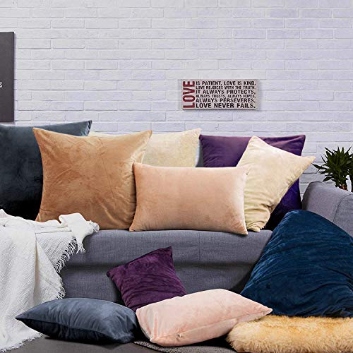 NTBAY King Velvet Pillowcases, Set of 2, Zipper, Camel - color: Camel, size: 36" x 20" (Pack of 2)