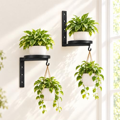 Wall Plant Holder Set of 2, Dual-Way Reversible Bracket for Extra Growth Space, Detachable Hooks, Metal Floating Flower Display Stand for Indoor Outdoor, Space Saving & Easy Assemble, Black - size: 2 Pack - 2-Way Wall Mount