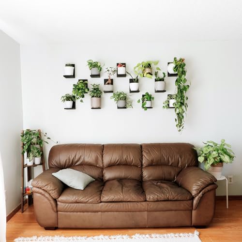 Daniel's Plants 3 Pack Mid-Century Modern L Shaped Wooden Plant Shelf Kit | Wall Mounted Floating Shelves | Solid Wood Wall Planter Shelf | Midnight Black - color: Midnight Black