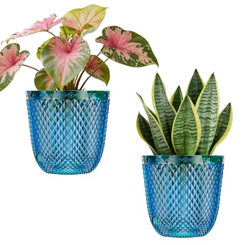 QCQHDU 2 Pack Self Watering Pots, 5.7 Inch, with Drainage Holes, Klein Blue - color: Klein Blue, size: 5.7in