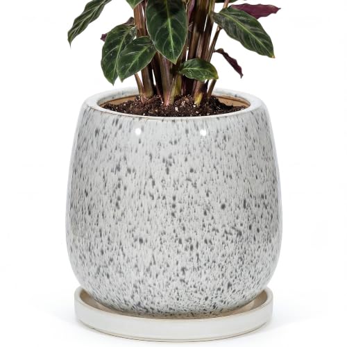 10.3 Inch Ceramic Glaze Plant Pot with Saucer, Flower Pots with Drainage Hole Mesh Net (Spot Blue) - color: Spot Blue