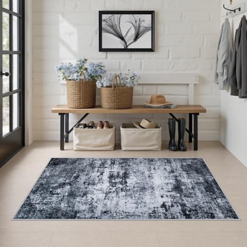 Area Rug Living Room: 3x5 Modern Washable Indoor Carpet Black - color: Black, size: 3' x 5' (Rectangular)