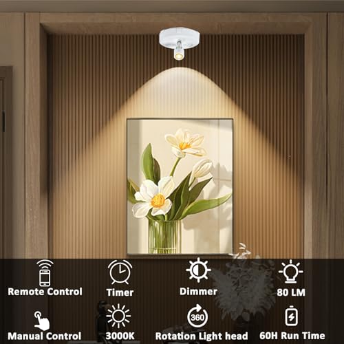 RAHAN 2Pack Battery Operated LED Spotlight, Picture Spot Lights, Indoor Uplights with Remote Dimmable & Timer, Plants Puck Light, Wall Display Lights for Dartboard Paintings Portrait Artwork - color: White-w