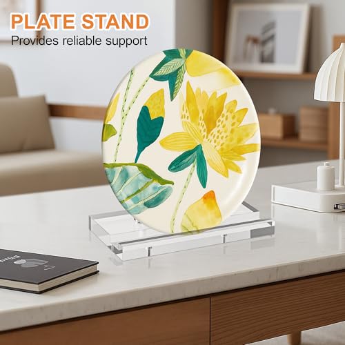CHEPULA Clear Plate Stands for Display, Acrylic Display Stand