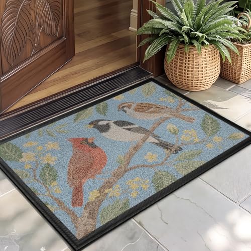 Color&Geometry Front Door Mat Outside Entrance, 17x30 Summer Entryway Doormat with Heavy Duty Backing, Anti-Slip Welcome Mats for Patio Garage Porch - Natural Home Accessories, Vintage Bird - color: Vintage Bird, size: 17"x30"