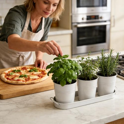 Small Pots for Plants, 3-Pack 4.7 Inch White Metal Herb Pots, Mini Windowsill Planter for Succulent, Cactus, Basil, Mint, Rosemary - color: White