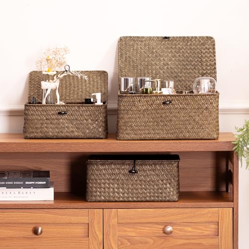 Nonam Wicker Storage Basket with Lid,Seagrass Shelf Basket Set of 2,Coffee - color: Coffee-S+M