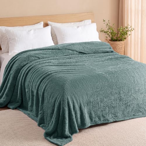 Exclusivo Mezcla Fuzzy Plush Fleece Bed Blanket Twin XL Size, Celadon - color: Celadon, size: 90x66 IN