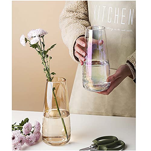 FANTESTICRYAN Modern Glass Vase, 8.7''H Decor Flower Vases Iridescent Clear - color: Neon Clear