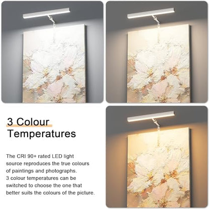 12" LED Picture Light Plug in, 4W Nickel Art Light - color: Nickel, size: 12 inch