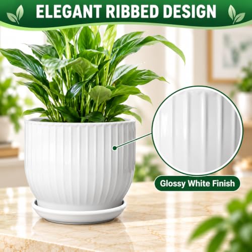 8 Inch Ceramic Plant Pot,White - color: Pure White, size: 8 Inch(1 PCS)