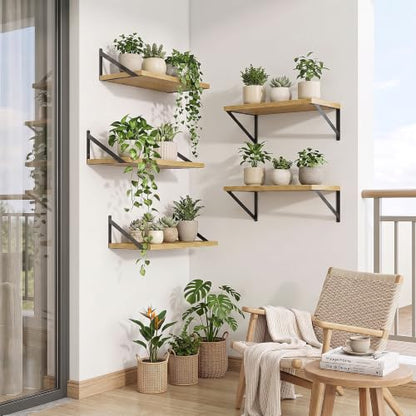 Axeman Deep Floating Shelves, 18'' x 10'' Oak Wall Shelves Set of 2 - color: Oak, size: 18W x 10D