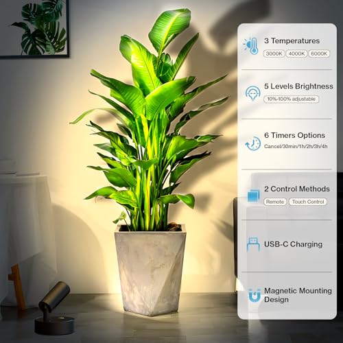 Olafus 2 Pack LED Wireless Spotlight Indoor with Timer/Remote, Black - color: Black