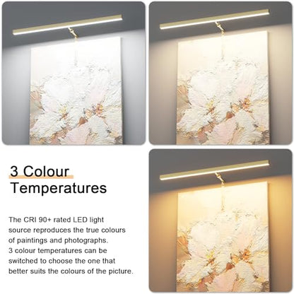 24" LED Picture Light Plug in, 9W Gold Art Light - color: Gold, size: 24 inch