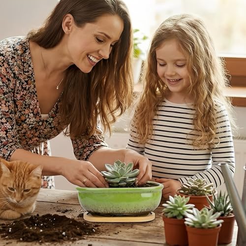 Succulent Pots, 1 Rectangle Planter + 1 Ceramic Bonsai Pots with Drain Tray - color: Green