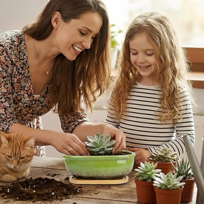 Succulent Pots, 1 Rectangle Planter + 1 Ceramic Bonsai Pots with Drain Tray - color: Green