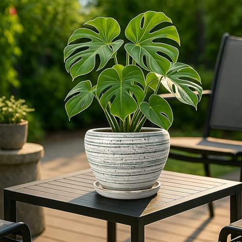 Deep Dream 8 Inch Plant Pots- Ceramic Pots for Plants with Drainage Hole and Saucer, Large Planter Pot for Indoor Plants Outdoor Decor, Brushed Green - color: Brushed Green, size: 8 Inch