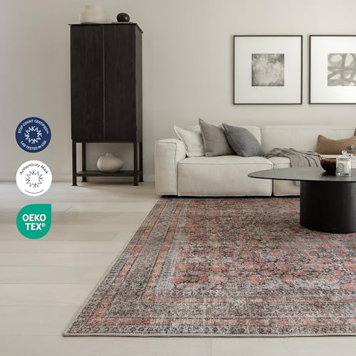 Rustica 4' x 6' Terracotta & Black Accent Rug - Persian-inspired design - size: 4' x 6' (Rectangular)