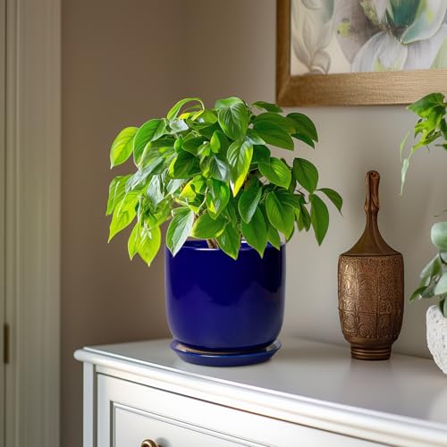 Ceramic Flower Pot 7 Inch, Round Planter, Blue - color: Dark Blue, size: 7 Inch
