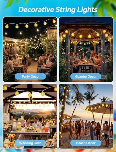 8.5Ft Lemon String Lights,10 LED Summer Outdoor Fairy Lights Plug in - color: Lemon String Lights