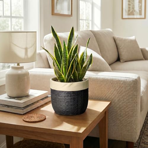 8 Inch Planter, Ceramic Pots for Plants, Round Flower Pot, Black - color: Black, size: 8 Inch