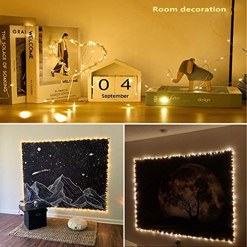 RUICHEN Fairy Lights Plug in, 33 Ft 100 LED Silver Wire Lights, Warm White - color: Warm White