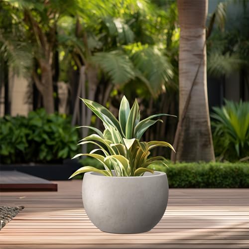 Kante 7.9" Tall Round Bowl Concrete Planter, Weathered Finish for Home - color: Weathered Concrete, size: 11.8" d