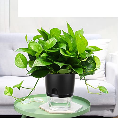 Vanavazon 6 Inch Self Watering Pots for Indoor Plants African Violet Pots - color: Black