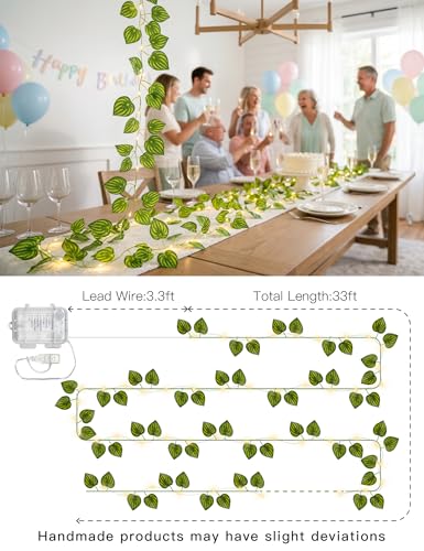 suddus 33FT Watermelon Vines with Lights Battery&USB Powered Copper Wire - color: Watermelon, size: 100 LED-Battery