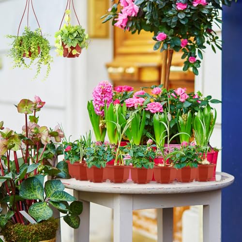 Roshtia 24 Pcs Hanging Planter Pot with Hook, Brown, 3.7 Inch - color: Brown, size: 3.7 Inch