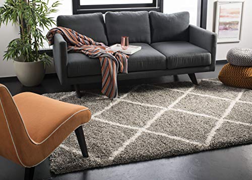 SAFAVIEH Hudson Shag Accent Rug 2'x3', Soft Plush Grey & Ivory SGH281B - color: Grey/Ivory, size: 2' x 3' (Rectangular)