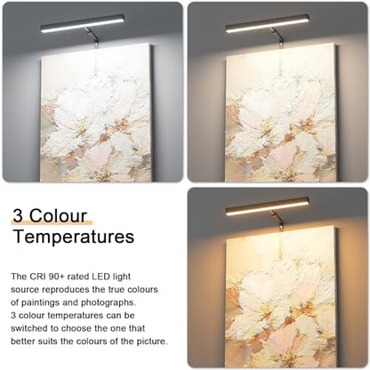 12" LED Picture Light Plug in, 4W Black Art Light - color: Black, size: 12 inch