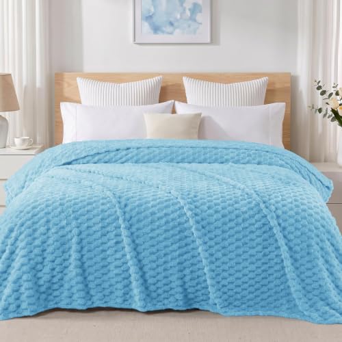 Exclusivo Mezcla 3D Fleece Queen Size Blanket for Bed, Blue - color: Blue, size: Queen ( 90x90 IN )