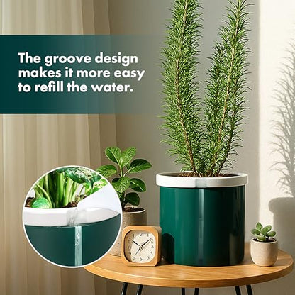 D'vine Dev Self Watering Terracotta Pot, Teal Glass Cup, 8 in, 37-X-C-5 - color: Teal, size: 8 Inch