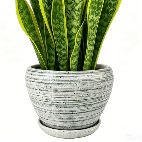 Deep Dream 8 Inch Plant Pots- Ceramic Pots for Plants with Drainage Hole and Saucer, Large Planter Pot for Indoor Plants Outdoor Decor, Brushed Green - color: Brushed Green, size: 8 Inch
