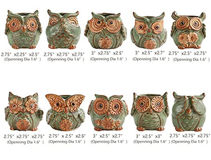TOPZEA 10 Pack Succulent Planter Pots with Drainage Hole, Cute Owl Ceramic Small Planters Animal Tiny Flower Plant Pots Containers Indoor for Cactus, Herb, Home, Garden, Windowsill, Coffee Table Decor