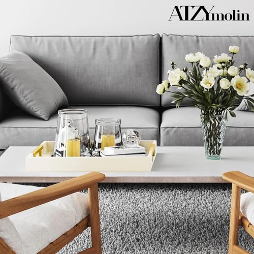 ATZYmolin Leather Serving Tray, Gold Handles Vanity Platter, Beige - color: Beige With Glod Handle