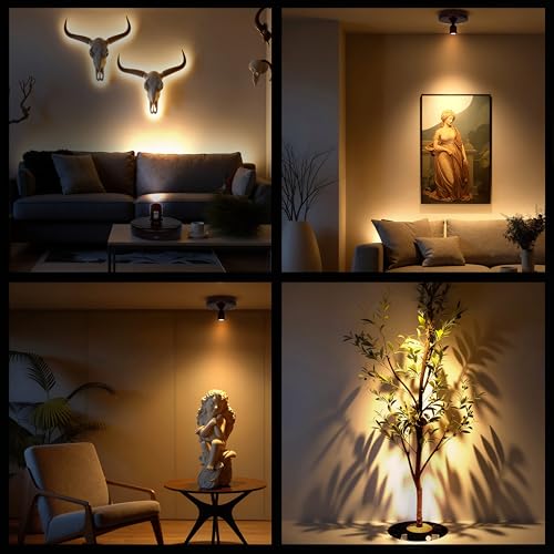 Mini Rechargeable LED Spotlight, spot Lights Indoor,Plant Light - color: Black