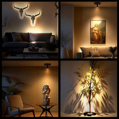 Mini Rechargeable LED Spotlight, spot Lights Indoor,Plant Light - color: Black