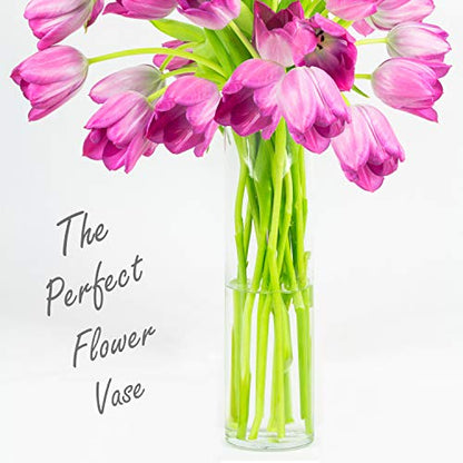 CYS Excel Clear Glass Cylinder Vase (H:20" D:4") | Multiple Size Choices Glass Flower Vase Centerpieces | Hurricane Floating Candle Holder Vase - size: H-20" D-4"