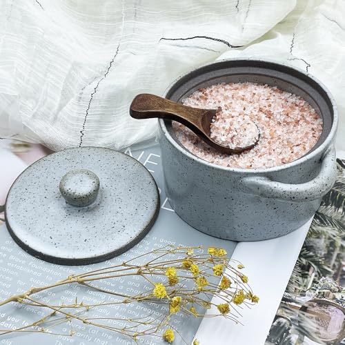 12 oz Ceramic Salt Cellar with Lid & Wooden Spoon,Countertop Salt Container,Sugar Bowl,Spices Jar| Artisan Kitchen Decor(Gray) - color: Gray B