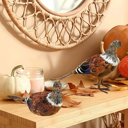 naturevibe Feathered Pheasant Decor Set of 2 for Autumn Fall Thanksgiving - style: Pheasant Decor-Set of 2