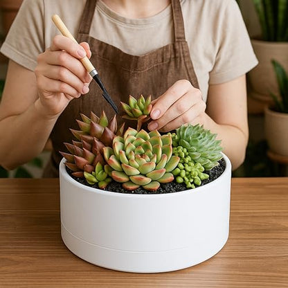 D'vine Dev 10 in Shallow Round Succulent Planter, White, 76-Z-A-2 - color: White, size: 10 Inch