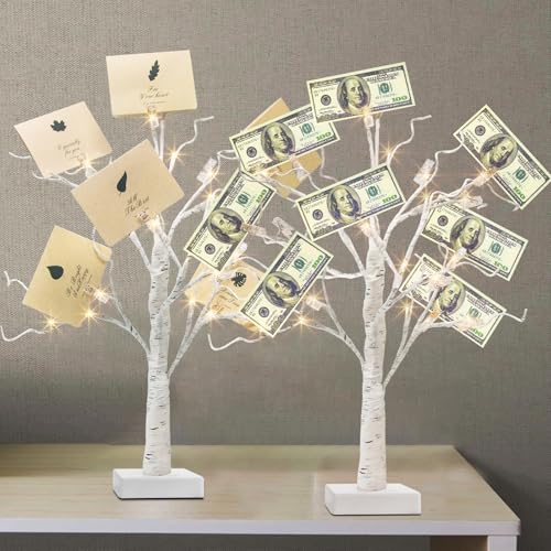 PEIDUO Set of 2 Money Trees, Lighted 22Inch 24LT White Birth Tree with Clips and Greeting Cards, Gift Card Holder for Birthday,Christmas, Wedding, Father's Day Graduation Gifts, Money Tree Gift Holder - color: Transparent,white