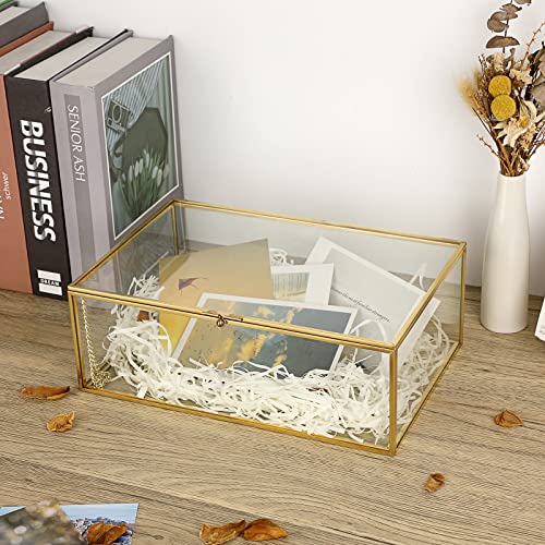 Hipiwe Vintage Glass Keepsake Box - Rectangle Jewelry Display Case, X-Large - color: Gold, size: X-Large