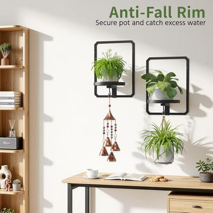 LASZOLA Plant Picture Frame Holder Shelf Wall Window Indoor, 3 Pcs Black - color: Standard Black, size: 3