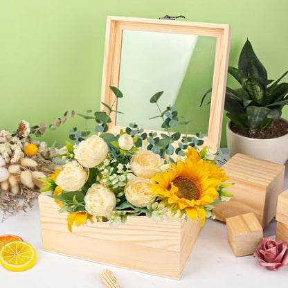 2 Pack Wood Box with Glass Lid, 7.87 x 7.87 x 4.72 inch Wooden Display Box with Hinged Lid for DIY Craft, Collectibles - size: 2 Pack 7.87 x 7.87 x 4.72 inch