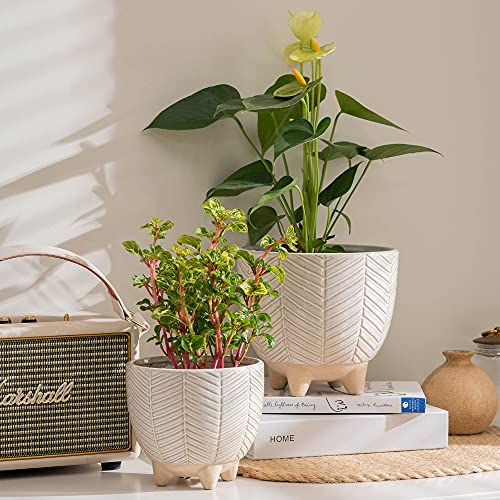 LA JOLIE MUSE Ceramic Plant Pots, Flower Pots for Indoor Plants, Set of 2