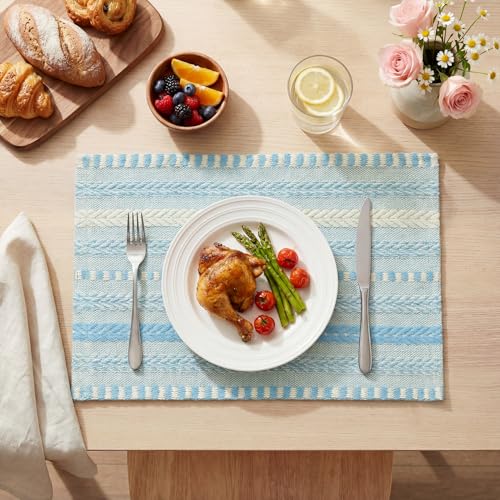 Artoid Mode Sky Blue Woven Braided Stripe Placemats Set of 4-12x18 Inch - color: Sky Blue, size: 12" x 18", 4 Pcs